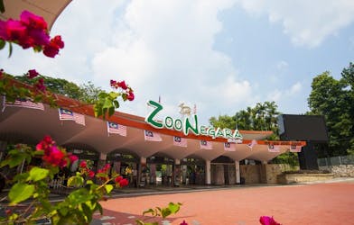 Biglietti Zoo Negara